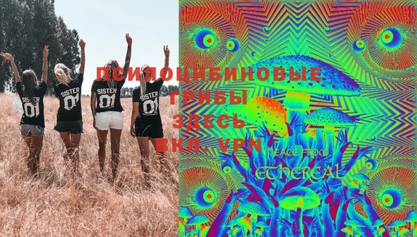 молекула духа Бронницы