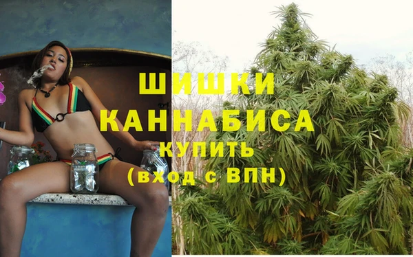 spice Бугульма