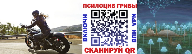 как найти закладки Донской Галлюциногенные грибы GOLDEN TEACHER